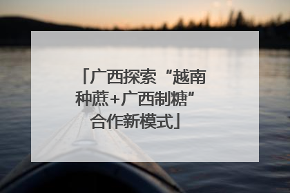 广西探索“越南种蔗+广西制糖”合作新模式