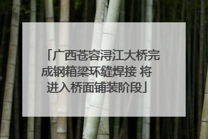 广西苍容浔江大桥完成钢箱梁环缝焊接 将进入桥面铺装阶段