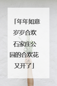 年年如意 岁岁合欢 石家庄公园的合欢花又开了
