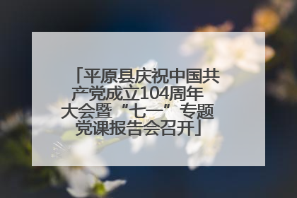 平原县庆祝中国共产党成立104周年大会暨“七一”专题党课报告会召开