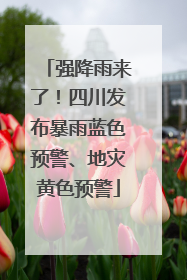 强降雨来了！四川发布暴雨蓝色预警、地灾黄色预警