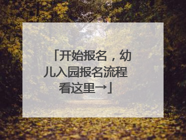 开始报名，幼儿入园报名流程看这里→