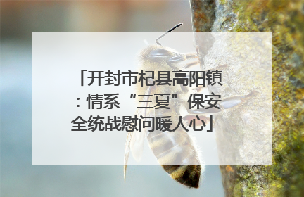 开封市杞县高阳镇：情系“三夏”保安全统战慰问暖人心
