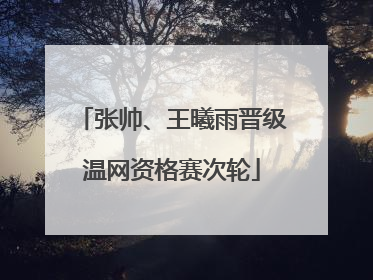 张帅、王曦雨晋级温网资格赛次轮