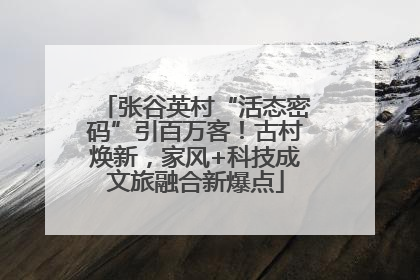 张谷英村“活态密码”引百万客！古村焕新，家风+科技成文旅融合新爆点