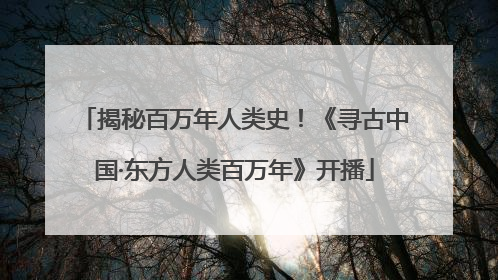 揭秘百万年人类史！《寻古中国·东方人类百万年》开播