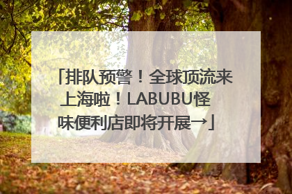 排队预警！全球顶流来上海啦！LABUBU怪味便利店即将开展→