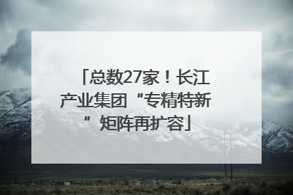 总数27家！长江产业集团“专精特新”矩阵再扩容