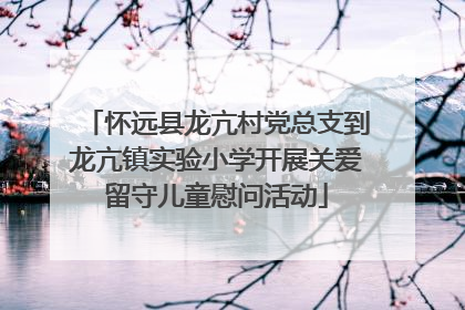 怀远县龙亢村党总支到龙亢镇实验小学开展关爱留守儿童慰问活动