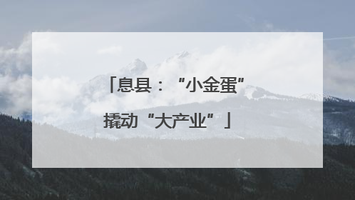 息县：“小金蛋”撬动“大产业”