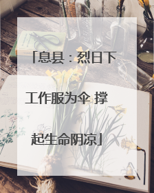 息县：烈日下工作服为伞 撑起生命阴凉