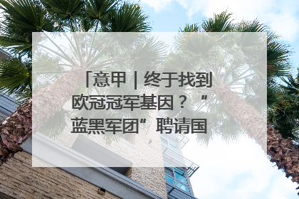 意甲｜终于找到欧冠冠军基因？“蓝黑军团”聘请国米名宿齐沃执教