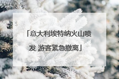 意大利埃特纳火山喷发 游客紧急撤离