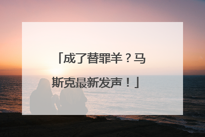 成了替罪羊？马斯克最新发声！