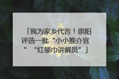 我为家乡代言！崇阳评选一批“小小推介官”“红领巾讲解员”