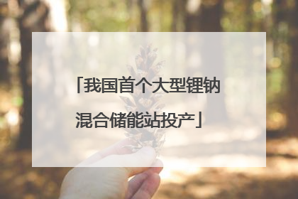 我国首个大型锂钠混合储能站投产