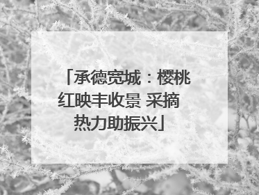承德宽城：樱桃红映丰收景 采摘热力助振兴