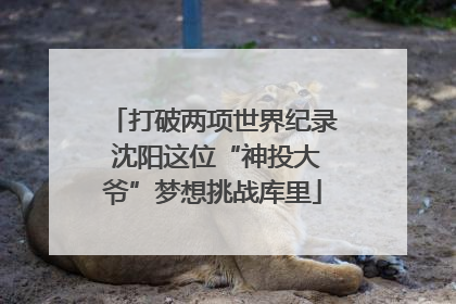 打破两项世界纪录 沈阳这位“神投大爷”梦想挑战库里