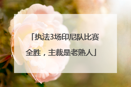 执法3场印尼队比赛全胜，主裁是老熟人