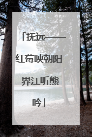 抚远——红莓映朝阳 界江听熊吟