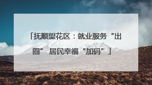 抚顺望花区：就业服务“出圈” 居民幸福“加码”