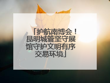 护航南博会！昆明城管坚守展馆守护文明有序交易环境