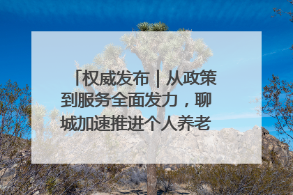 权威发布｜从政策到服务全面发力，聊城加速推进个人养老金制度落地