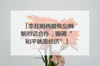 李在明再提恢复韩朝对话合作，强调“和平就是经济”