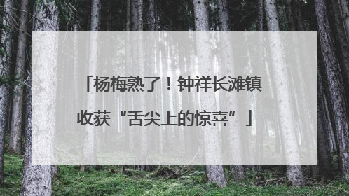 杨梅熟了！钟祥长滩镇收获“舌尖上的惊喜”