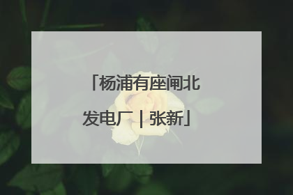 杨浦有座闸北发电厂｜张新