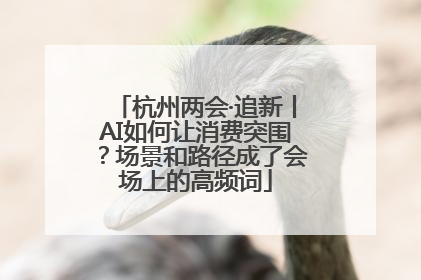 杭州两会·追新丨AI如何让消费突围？场景和路径成了会场上的高频词