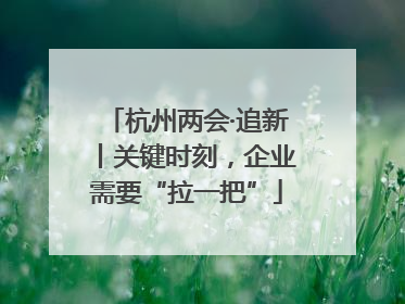 杭州两会·追新丨关键时刻，企业需要“拉一把”