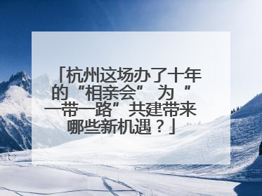 杭州这场办了十年的“相亲会” 为“一带一路”共建带来哪些新机遇？