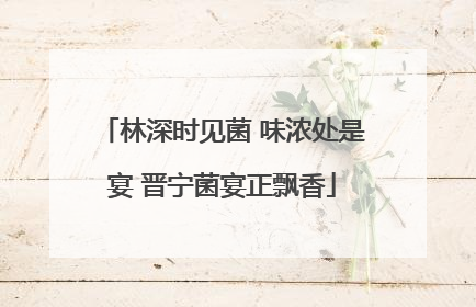 林深时见菌 味浓处是宴 晋宁菌宴正飘香