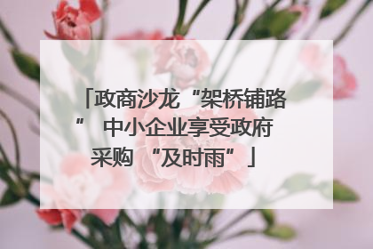 政商沙龙“架桥铺路” 中小企业享受政府采购 “及时雨”