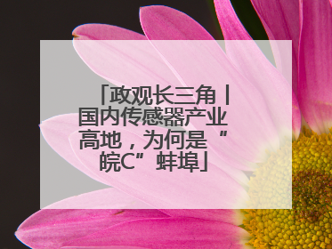 政观长三角丨国内传感器产业高地，为何是“皖C”蚌埠