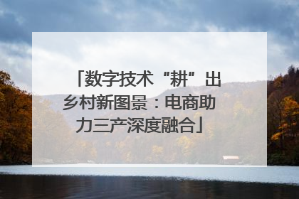 数字技术“耕”出乡村新图景：电商助力三产深度融合