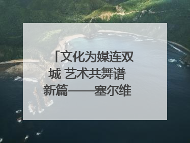文化为媒连双城 艺术共舞谱新篇——塞尔维亚科瓦契察市代表团访问日照