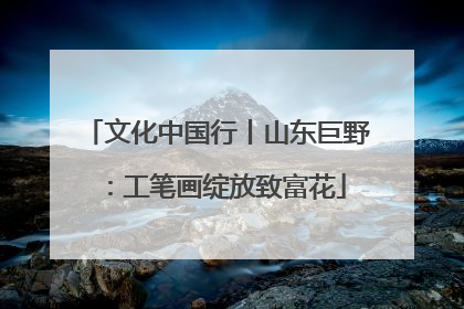 文化中国行丨山东巨野：工笔画绽放致富花