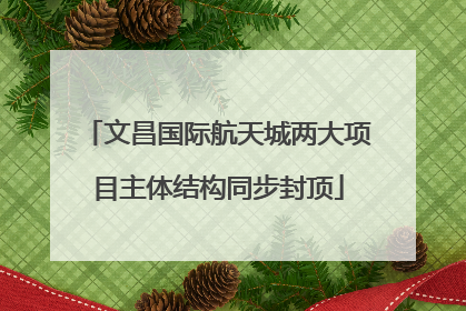文昌国际航天城两大项目主体结构同步封顶