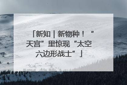 新知｜新物种！“天宫”里惊现“太空六边形战士”