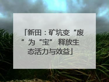 新田：矿坑变“废”为“宝” 释放生态活力与效益