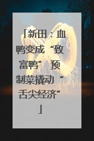 新田：血鸭变成“致富鸭” 预制菜撬动“舌尖经济”