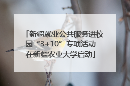 新疆就业公共服务进校园“3+10”专项活动在新疆农业大学启动
