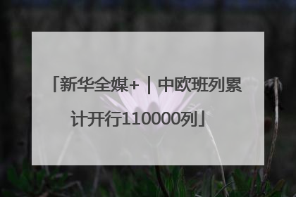 新华全媒+｜中欧班列累计开行110000列