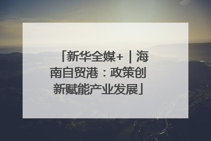 新华全媒+｜海南自贸港：政策创新赋能产业发展