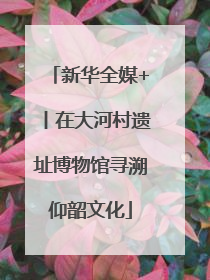 新华全媒+丨在大河村遗址博物馆寻溯仰韶文化
