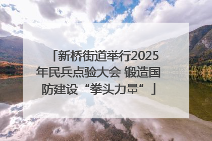 新桥街道举行2025年民兵点验大会 锻造国防建设“拳头力量”