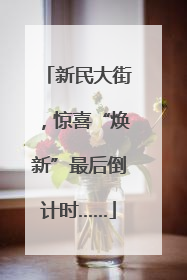 新民大街，惊喜“焕新”最后倒计时……
