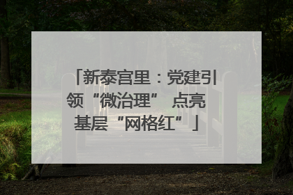 新泰宫里：党建引领“微治理” 点亮基层“网格红”